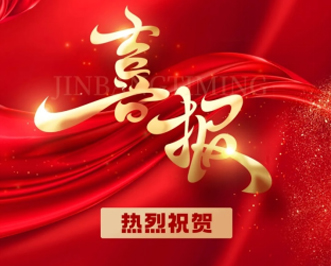 喜报|AGGAME汽车荣登2024中国民营汽车流通行业百强榜、社会责任百强榜